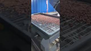 BL60 peanut color sorter machine peanut [upl. by Nwahs]