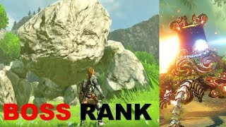 Top Overworld Bosses in BOTW [upl. by Aklim]