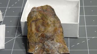 Dinosaur Dung Fossil Coprolite from Utah [upl. by Darreg434]