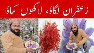 Saffron cultivation Replicate Aran Village Poonch’s success story [upl. by Luba]