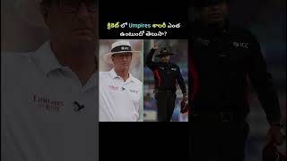 Cricket లో Umpires కి ఎంత జితం ఉంటుందో తెలుసా cricket cricketumpire cricketvideos [upl. by Tiffany]