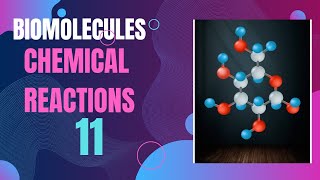 Biomolecules Class 11 Chemical reactions [upl. by Slyke254]