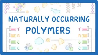 GCSE Chemistry  Naturally Occurring Polymers  Polypeptides DNA and Carbohydrates 61 [upl. by Benji]