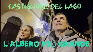 CASTIGLIONE DEL LAGO LALBERO PIU GRANDE vanlife viaggiincamper [upl. by Leur]