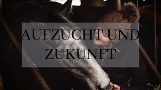 Cosma amp Carlotta Aufzucht und Zukunft [upl. by Analaj634]