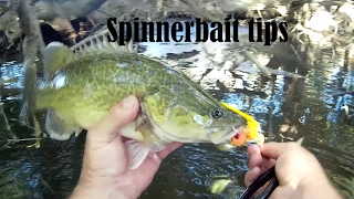 Spinnerbait tips and information How to catch fish with spinnerbaits [upl. by Giamo]