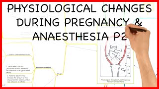 PHYSIOLOGICAL CHANGES DURING PREGNANCY PART 2 PHYSIOLOGY SERIES [upl. by Ponce]