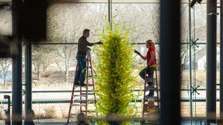 Chihuly Fern Green Tower Time Lapse [upl. by Voletta]