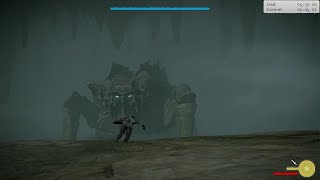 Agroless Basaran speedrun  Shadow of the Colossus [upl. by Salita]