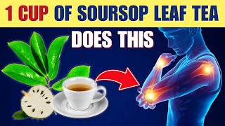 13 Powerful Benefits of Soursop Leaf Tea [upl. by Alaine]