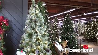 Flowerland Christmas 30 Spot 2023 [upl. by Otrebliw]