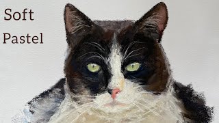 Katze mit Soft Pastell zeichnen Cat drawing Кошка пастелью Soft Pastel [upl. by Hambley]