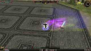 Metin2 PvP Mental vs Body [upl. by Vergos586]