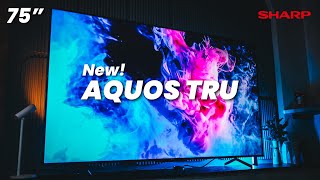 SHARP AQUOS TRU 75quot TV 2024 Flagship Experience BUT More Affordable 😎 [upl. by Jordon]