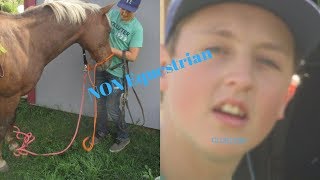 Most Hilarious NonEquestrian Tacks up My Horse Video My Cousin is CLUELESS [upl. by Ekul598]