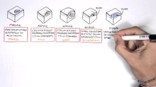 Dermatology  Lesion Terminology [upl. by Clare924]