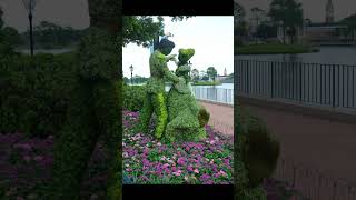 Incredible Garden I Topiary Garden Enchanting Garden ytshorts nature video reels shots garden [upl. by Oirom]