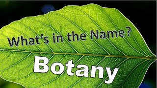 Whats in the Name Botany [upl. by Haek811]