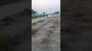 🇮🇳 Najafgarh Arise amp Shine Academy workout world run running youtube subscribe motivation 😇 [upl. by Doersten946]