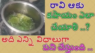 raavi aaku kashayam preparation  raavi aaku uses benefits and side effects  state tv [upl. by Oleg]