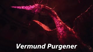 Dragons Dogma 2 Thief vs Vermund Purgener [upl. by Aderb]