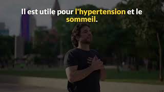 Les secrets du Training Autogène de Schultz pour Déstresser [upl. by Marte402]