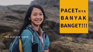 Pendakian GUNUNG TAMBORA via Pancasila  GPS Track Subtitle CC [upl. by Eveivenej5]