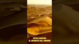 El desierto del Sahara  Datos curiosos sobre el desierto mas grande del planeta shorts short [upl. by Idonna713]