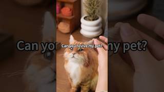 Best pet clone gifts ❤️httpswwwpethandmadecomproductsplushreplicasofpets cat dog art [upl. by Titos]