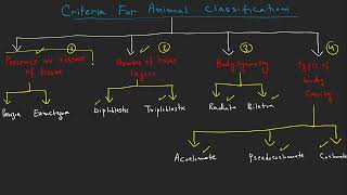 Criteria for animal classification xi Biology NBF federal board [upl. by Mendes]