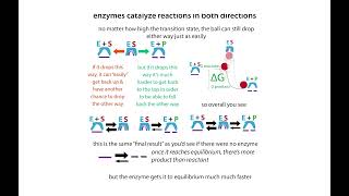 Enzymes part 2 Mechanisms amp classification [upl. by Lejeune]