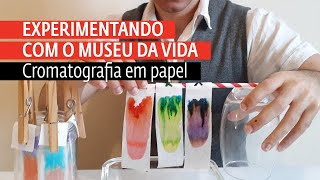 Como fazer cromatografia em papel com canetinha [upl. by Adrea]