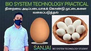 bst biosystem technology practical♦ BST நிறையை அடிப்படையாகக் கொண்டு முட்டைகளை வகைப்படுத்தல் [upl. by Pine]