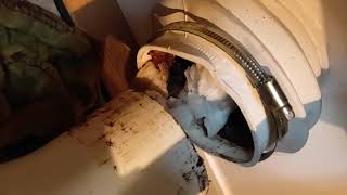 How to unblock a toilet macerator saniflo that wont flush Grundfos Sololift2 [upl. by Enyehc]