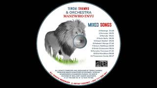 Tendai Shamhu Mukadzi Wangump3 [upl. by Airekat]