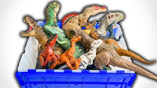 DINO Classifications  Amazing Dinosaurs [upl. by Fulvia402]