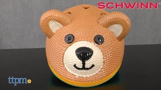 Schwinn Teddy Bear Bike Helmet from Pacific Cycle [upl. by Sandell]