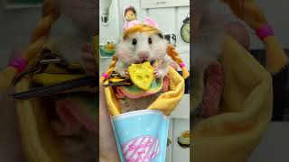 Today is the lady mouse Ratraising daily sharingCUTE PET debut planhamsterCUTE PET [upl. by Shantee384]