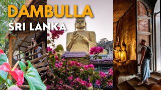 Visiting STUNNING Dambulla Cave Temple amp Treehouse Stay  SRI LANKA SERIES [upl. by Francoise608]