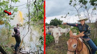 VOLTAMOS PARA FAZENDA OLHAMOS O GADO E REABASTECEMOS A CEVA NO RIO [upl. by Akla]