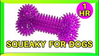 Squeaky toy sounds 1 hour dogs [upl. by Atilef]