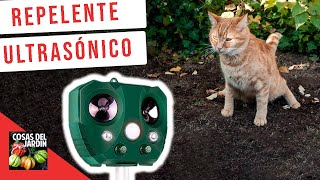 REPELENTE ULTRASONICO DE ANIMALES FUNCIONARÁ CON EL GATO [upl. by Honor]