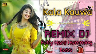 Kala Kauwa  Fully Humming Bass 2024  Mix New Dj Mix Top Viral Remix Song New Mix  Dj Nurman Remix [upl. by Ssur729]