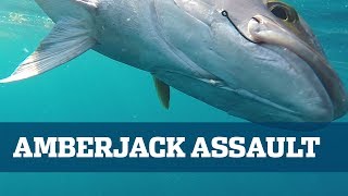 Monster Amberjack  Florida Sport Fishing TV  Tackling The Strongest Reef Fish [upl. by Aietal509]