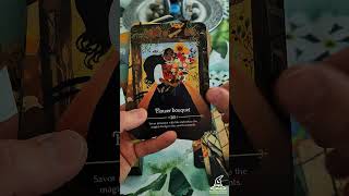 Seasons of the Witch Lammas Oracle  Deck in a Minute [upl. by Solram830]