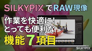 SILKYPIXのRAW現像を快適に！～知ってるととっても便利な機能7項目～ [upl. by Jesse327]