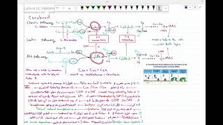 intro to Pathology tissue inflammation 7 [upl. by Elfrieda]