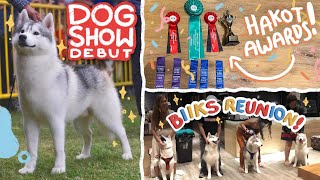 FIRST TIME SUMALI NI HENRI SA DOG SHOW  REUNION DIN SA MGA ANAK NIYA [upl. by Randene772]