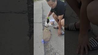 This Blue Liquid Fixes Potholes Without Cement 🤯 repair diy construction [upl. by Englis]