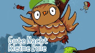 Gute Nacht kleine Eule  Kinderlieder  die kleine Eule amp ihre Freunde [upl. by Nerret]